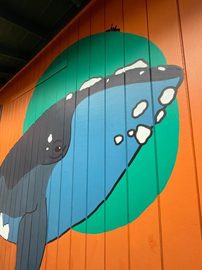 Hostel Antonio Pescador - Centro Da Guarda do Embaú Екстериор снимка